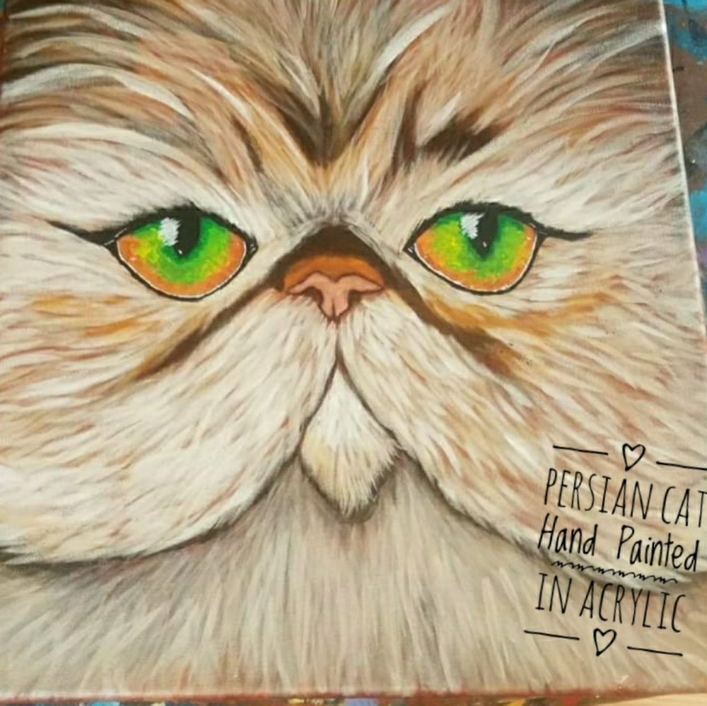 Persian Cat Painted Original on 12x12 Canvas
